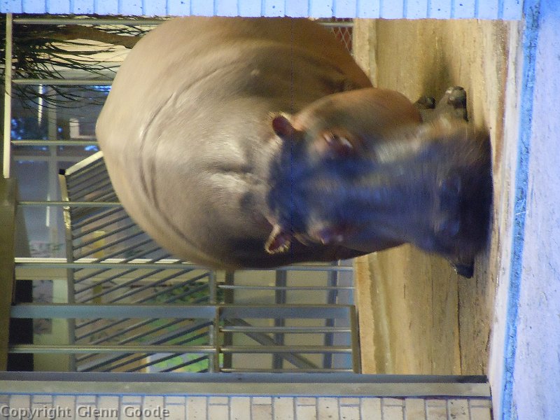 DSCN0720