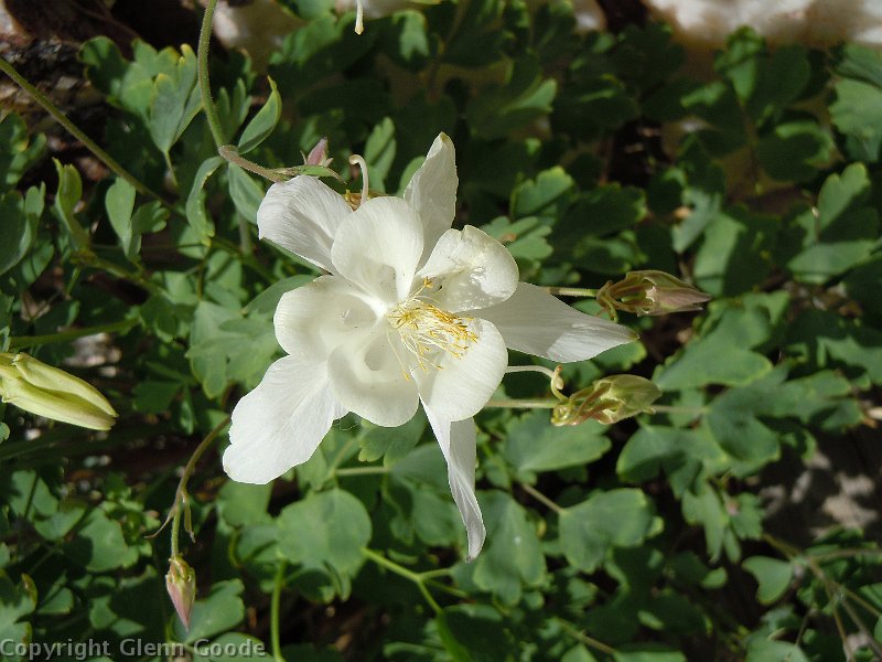 DSCN0753