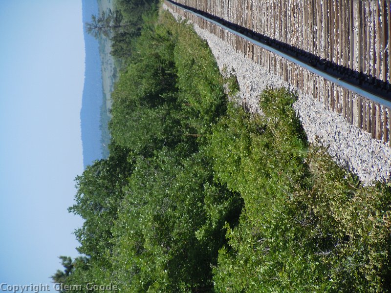 DSCN0790