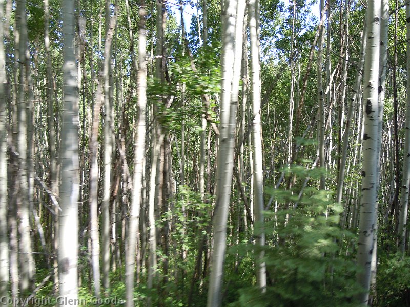 DSCN0795