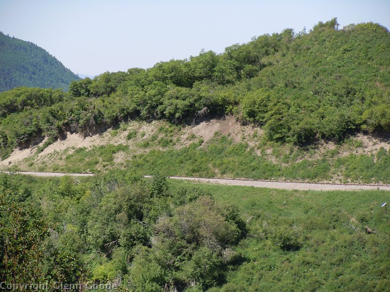 DSCN0831