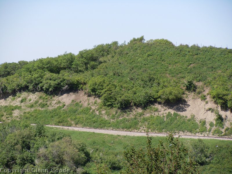 DSCN0832