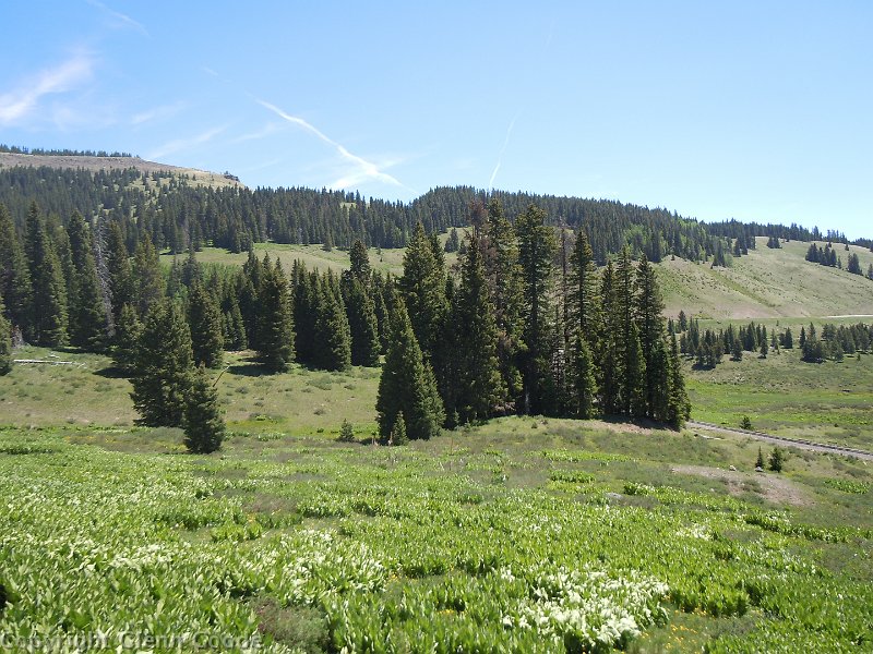 DSCN0868