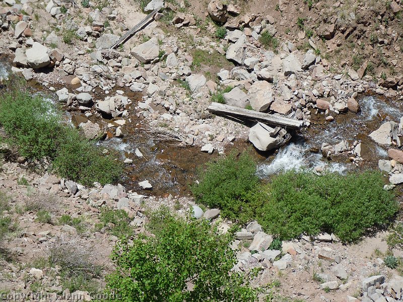 DSCN0902