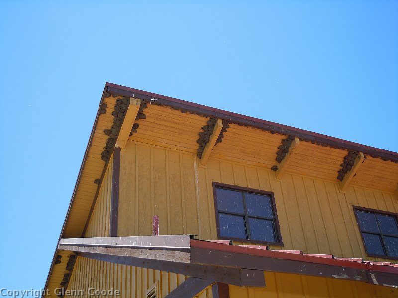 DSCN0920