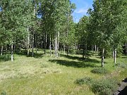 DSCN0801