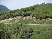 DSCN0831