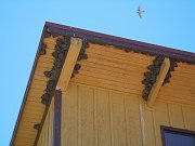 DSCN0919