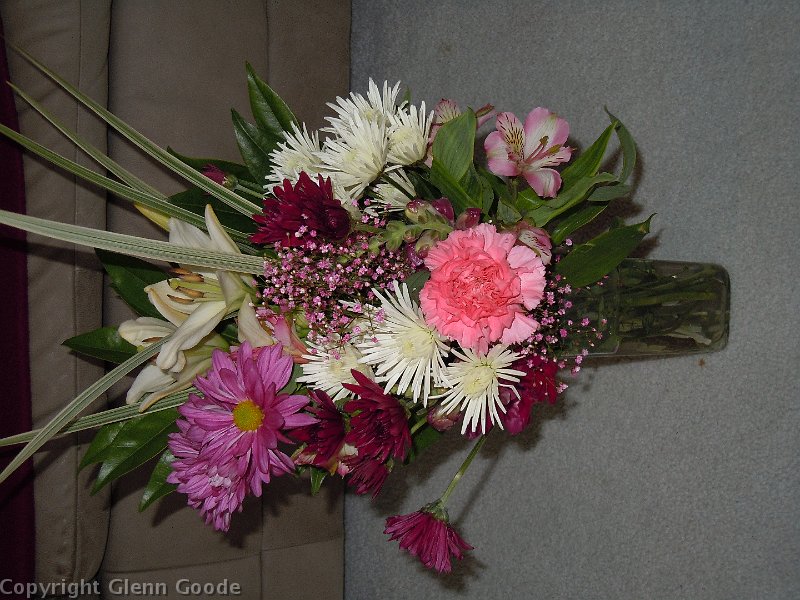 DSCN0987