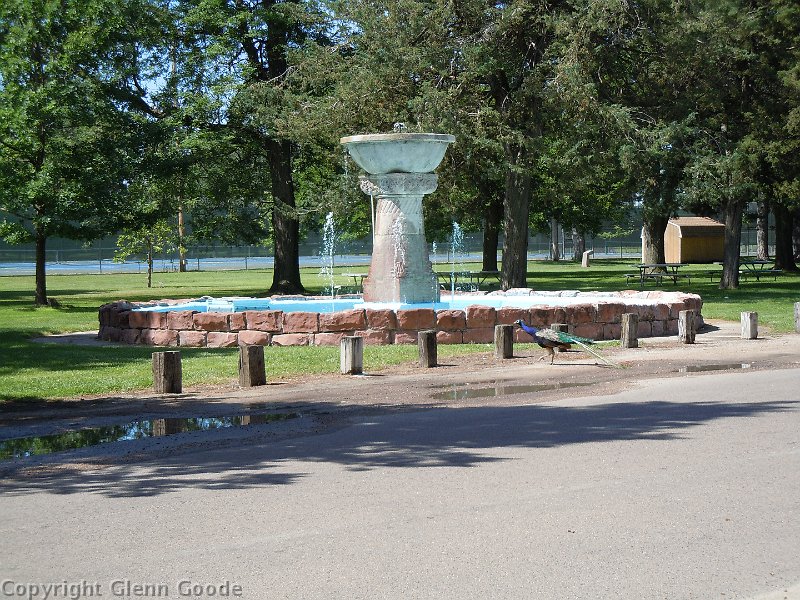 DSCN1154