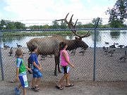 DSCN1140