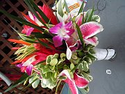 DSCN1323