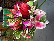 DSCN1324
