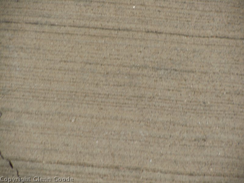 DSCN1571