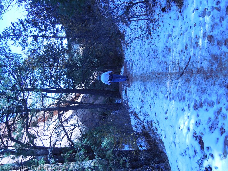 DSCN1773