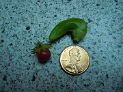 2011-10-9-more-bounty