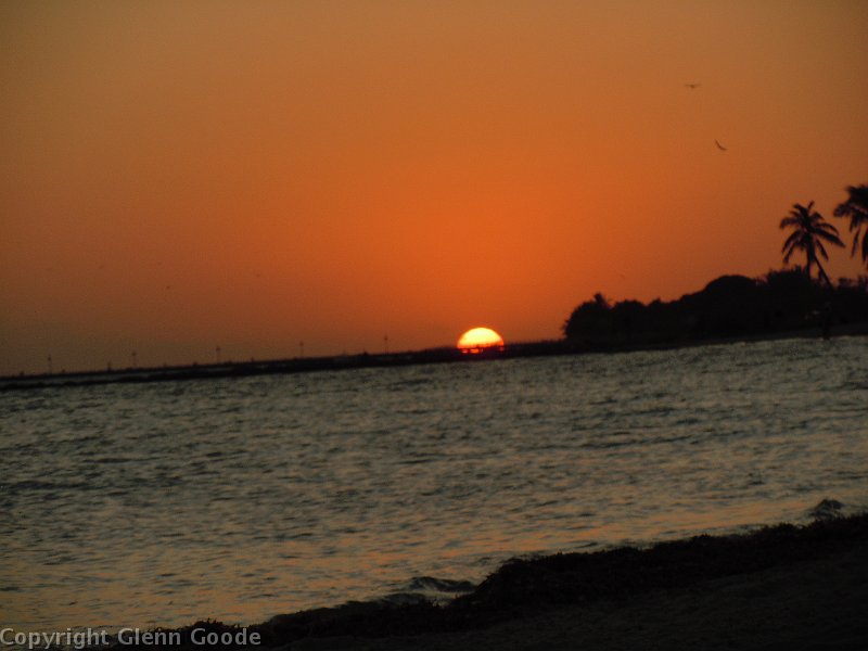 DSCN1819