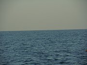 DSCN1948