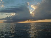 DSCN1950