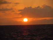 DSCN1971