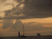 DSCN1974