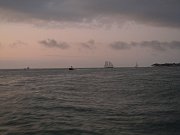 DSCN1977