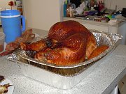 2011-11-24-turkeys
