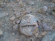 DSCN2160