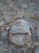 DSCN2161