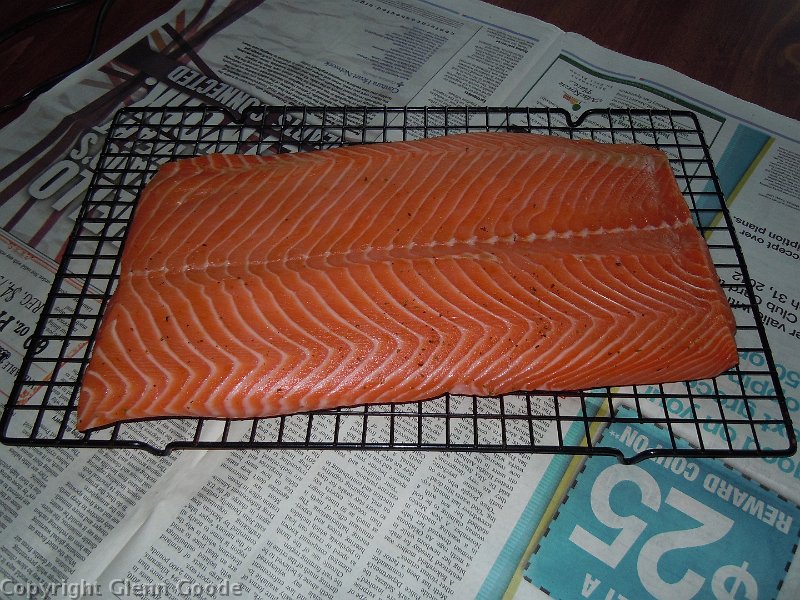 DSCN2204