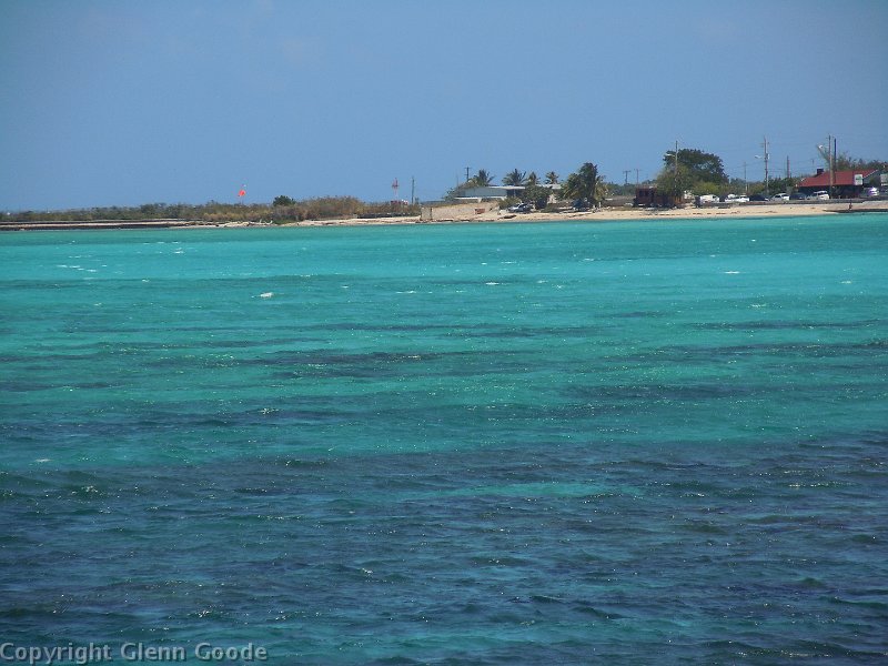 DSCN0095