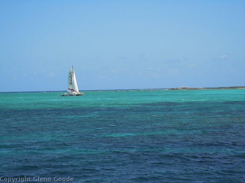 DSCN0098