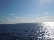 DSCN0155