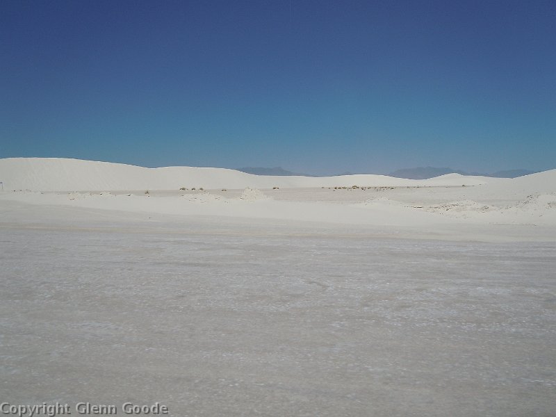 DSCN0078