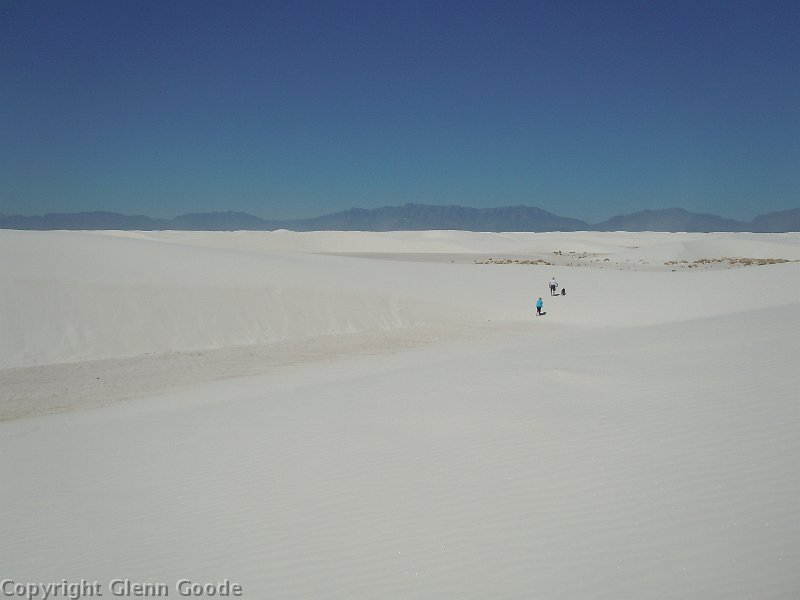 DSCN0084