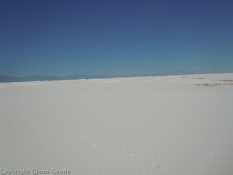 DSCN0088