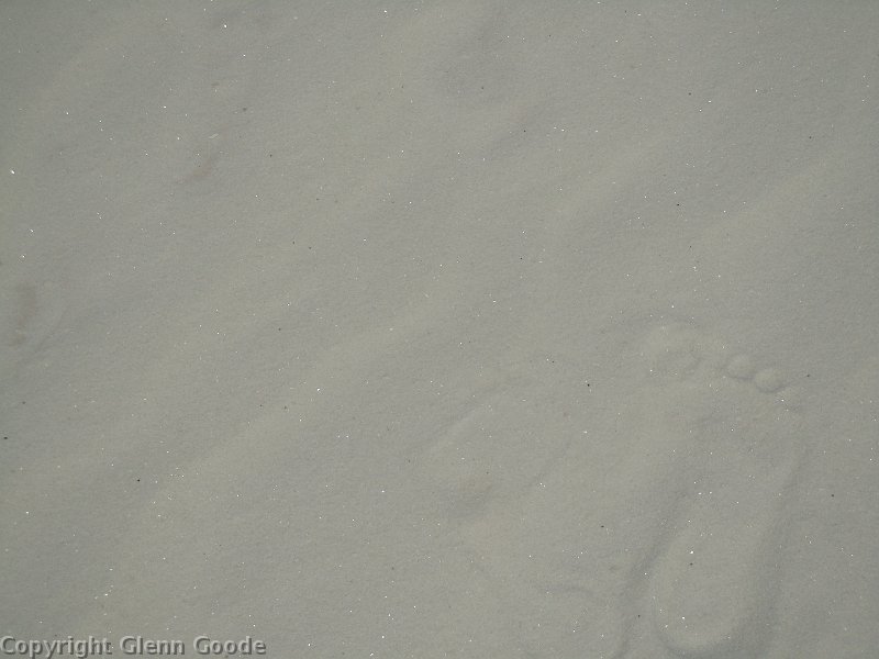 DSCN0092