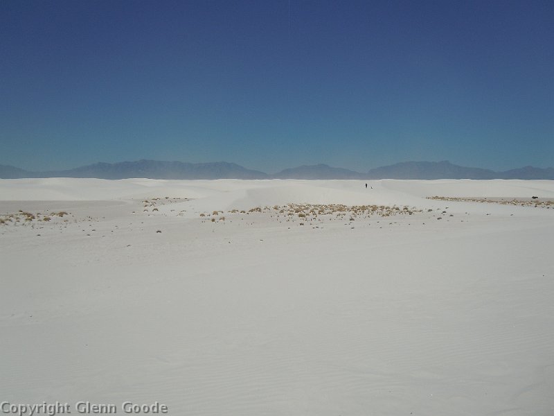 DSCN0093