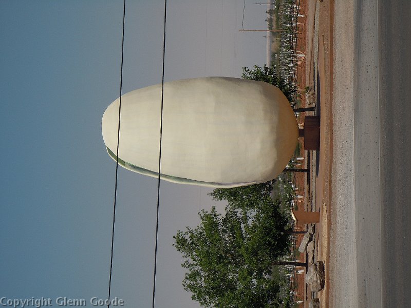 DSCN0141