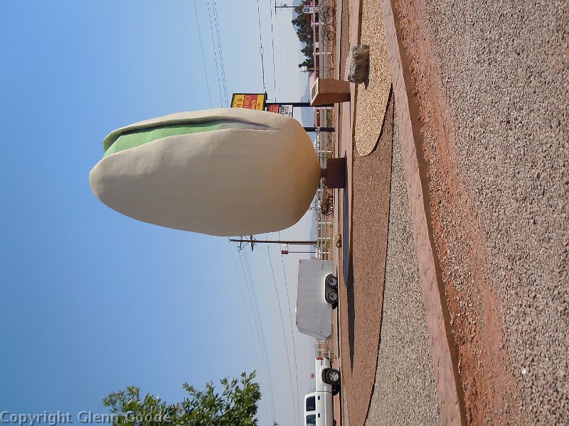 DSCN0146