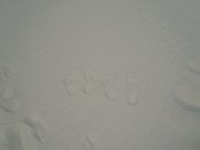 DSCN0079