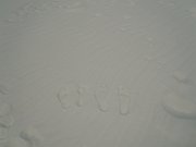 DSCN0080