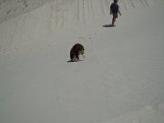DSCN0113