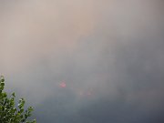 DSCN0300