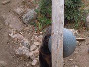 2012-06-28-zoo