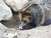 DSCN0470