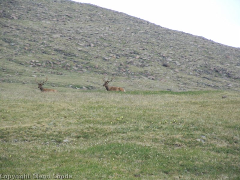 DSCN0546