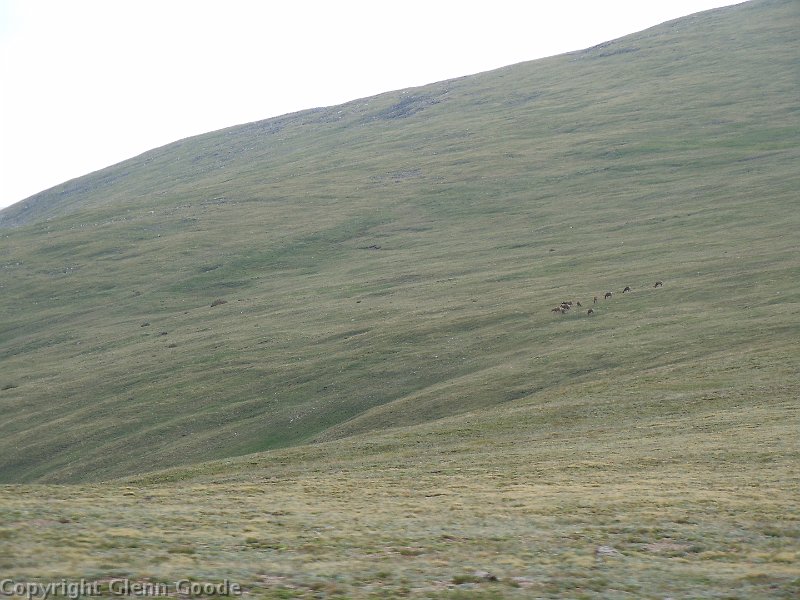 DSCN0570
