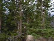 2012-07-15-riverview