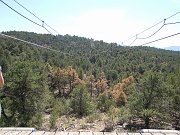 DSCN1338